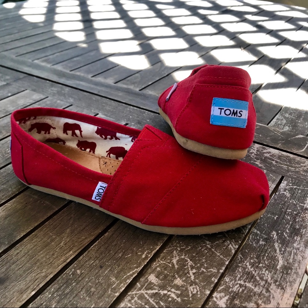 TOMS